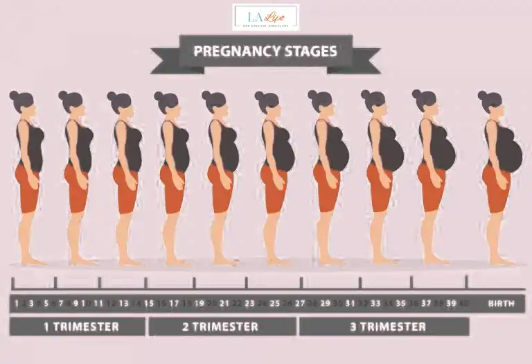 First Trimester (Weeks 1–12): Early Changes You Might Not Notice Bricket Wood